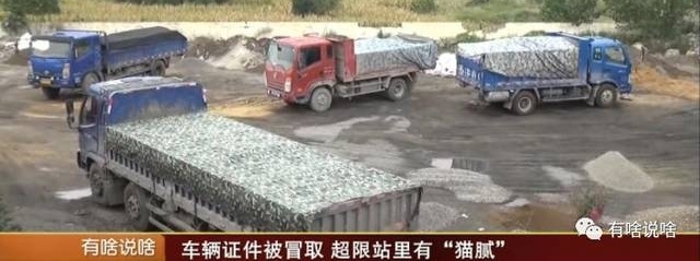 ���Σ�����֤����ðȡ�������ϱ��绰���ţ�����վ���ѵ��С�è�塱��