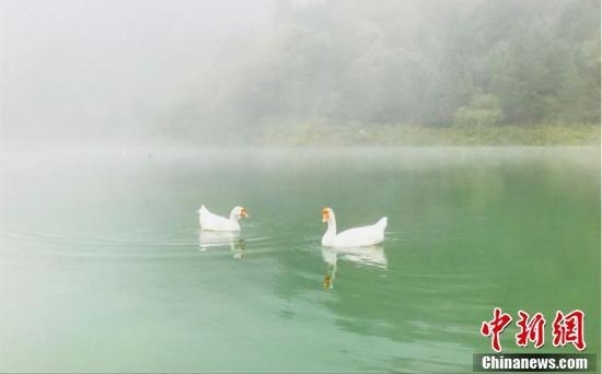 ����崲��ٶ칵������������ο��䡶ʫ����