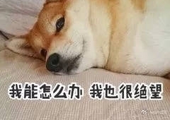 Ů���������㳡��������İ�����տ��������Ӻ����ˣ����������¸���û�뵽��