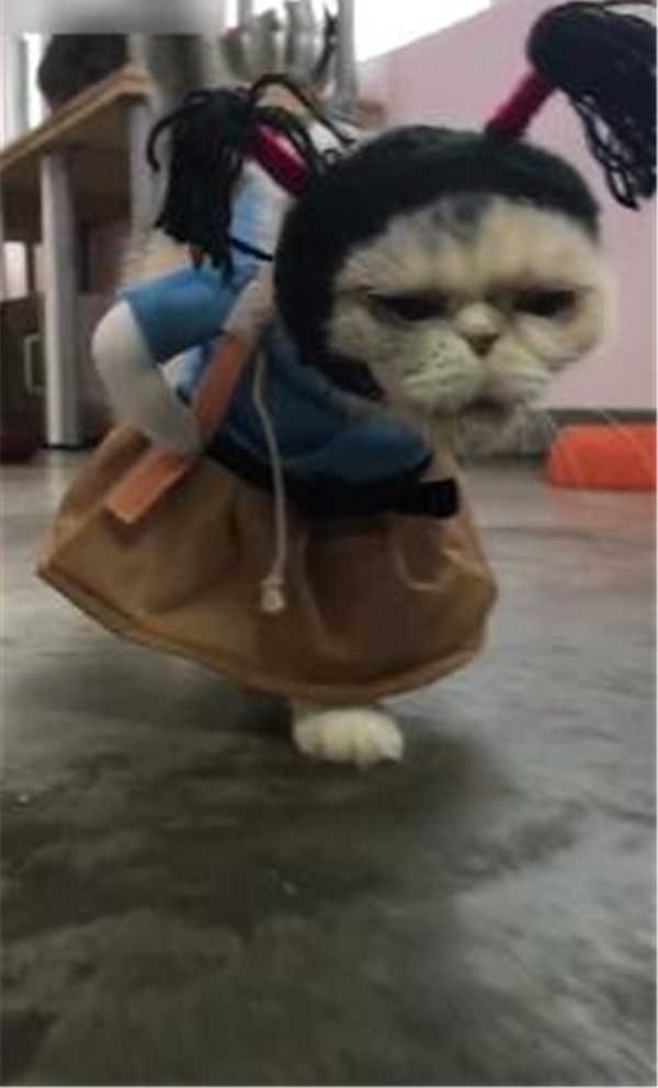 ˫�ֲ���ͷ�������ڣ�＂��ʿ��＂�������Ц������