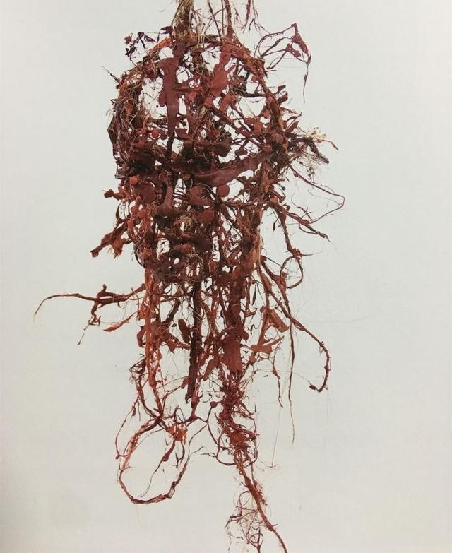 ˿·���ӣ�2018 ��������������չ