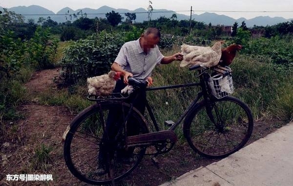 ��ү����棡���ŵ������ż����磬û������Ҳ��������