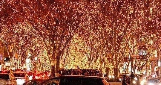 再等5天!城北首场奇幻灯光秀!免费限时7天观赏!不可错过!