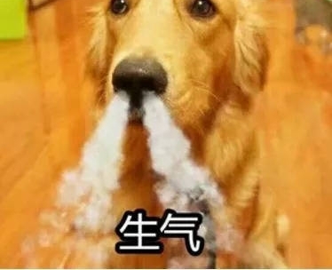 Ů���������㳡��������İ�����տ��������Ӻ����ˣ����������¸���û�뵽��