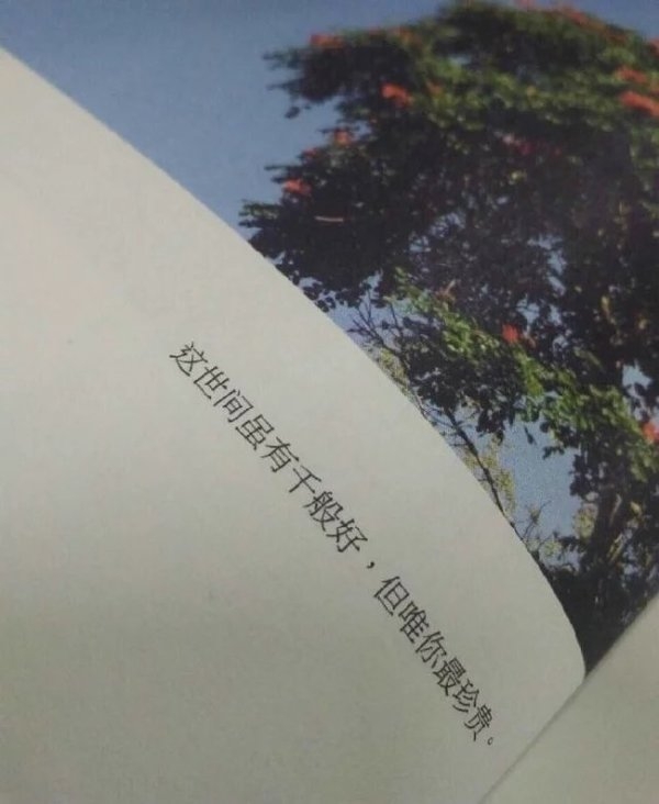 Ҳ԰·.