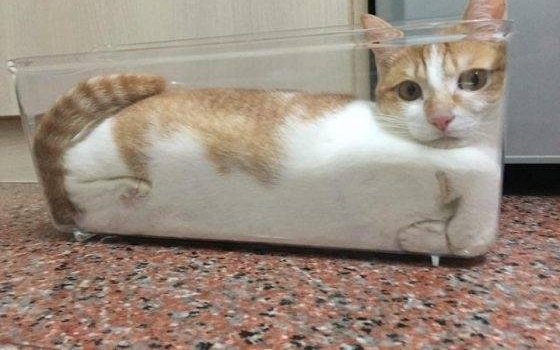 ��èҲҪ�ܿ�ѧ����Щ��Ϊ���������ĸ�Цŵ�����о�