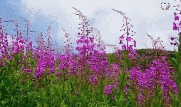 �ж���ʦ�ڡ���ʦ������