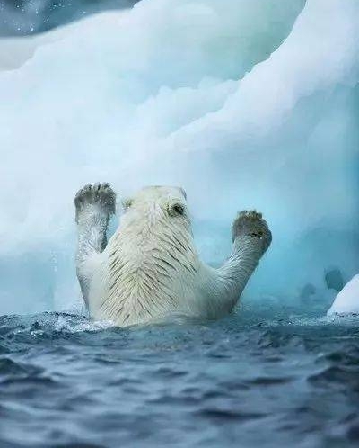 ��ǿ̨�硰ɽ��ˢ������һĻ��Ŀ���ģ�������Ĳ�����