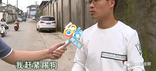 6岁男童被狗咬13天后去世 离打第四针狂犬疫苗差两天