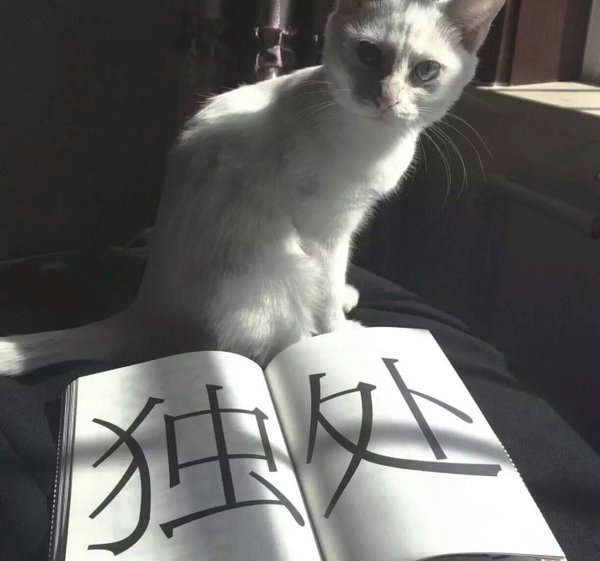 㵽˽ĵز.