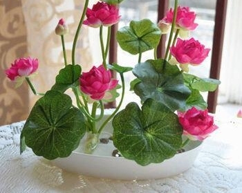 �й�����6�������������ܻ���������ĵ�����㣡�������ÿ�