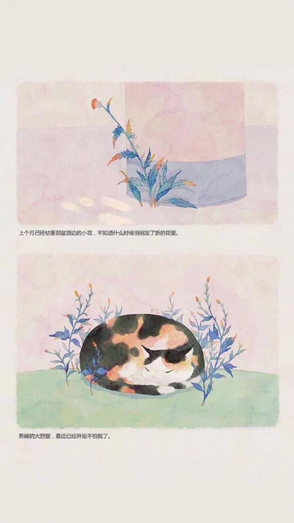 Լշ廭ͼƬ