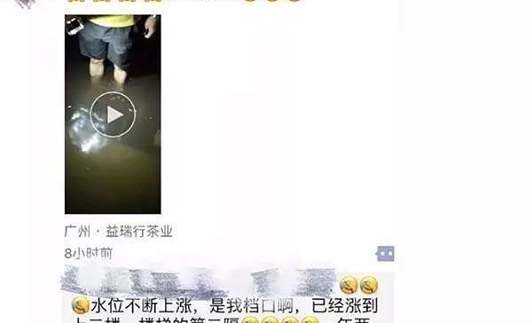 ���±���ح��ɽ�񡱾������ն��������ʲ������ѵ��ĵ�ȴ����Щ