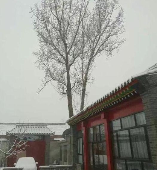 ɹɹ�ҵı��������ĺ�Ժ����ѩ�񡰹ʹ�������ϲ��ר��������԰��
