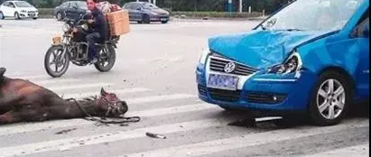 �����������ˣ�