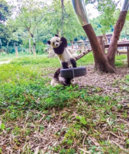 ����è�ְ֡����˳ɣ�ȫ��������è����������
