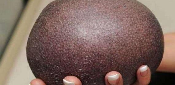 ���Ӱ�·����һֻ�޵������ò���������Ϊ�Լ��񵽱���