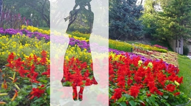 �������ϣ���������������·���ʳ�¯��������������
