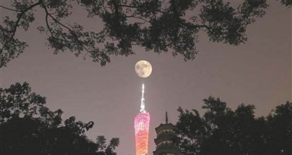 期待中秋夜“月光光 照地堂”