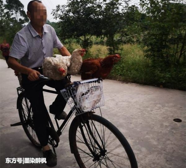 ��ү����棡���ŵ������ż����磬û������Ҳ��������
