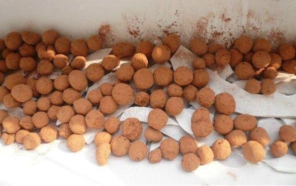 �����Ž�������ס���в�ס����̨�ֲˣ����1���߲˶��������ˣ�