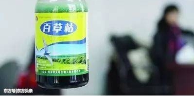 ���ӱ��ٷ˹�ٲݿ�25���������û�뵽����±���ȴ��������