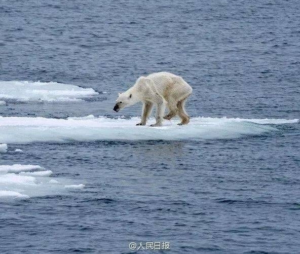 ��ǿ̨�硰ɽ��ˢ������һĻ��Ŀ���ģ�������Ĳ�����