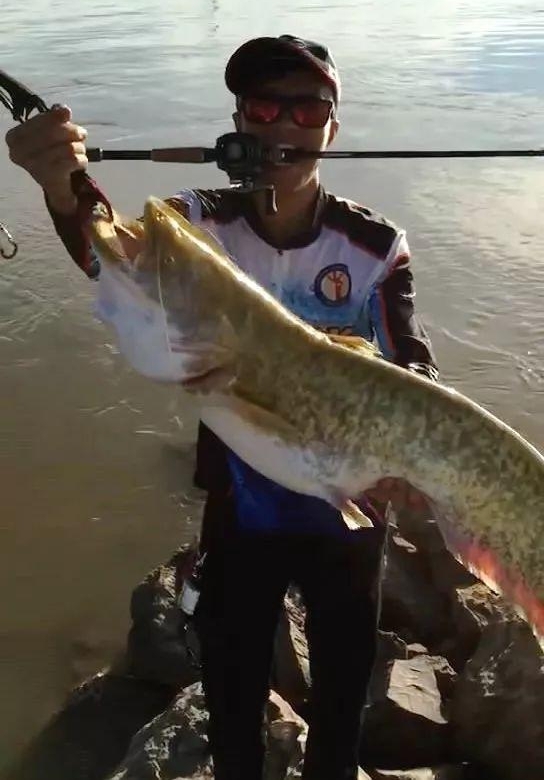 男子钓起大河鲶,纯天然野生,通体金黄,网友:河怪级
