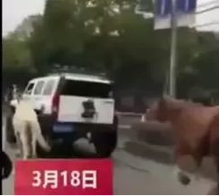 �����������ˣ�