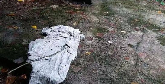 ���£��˱����ӱ��������ˣ�������Ч������