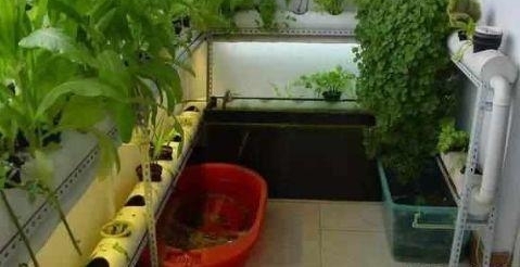 �����Ž�������ס���в�ס����̨�ֲˣ����1���߲˶��������ˣ�