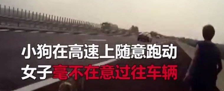 ���边�ڸ������޹�����������ȴ˵����������