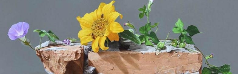 ����Ů�����ˣ��Ļ���ש��ȴ�����˴�ɫ��԰��һ����ש������28��