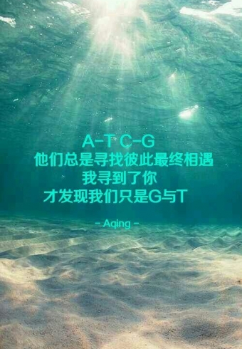 һͷӵ 