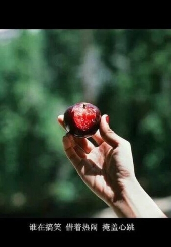˭ڸЦ֣