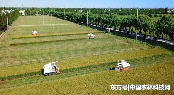 йʮģʽ֮ǽԼͣϺɽ