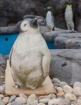���Σ�Ӣ������԰�֡�ɽկ���������ȫ������ģ��