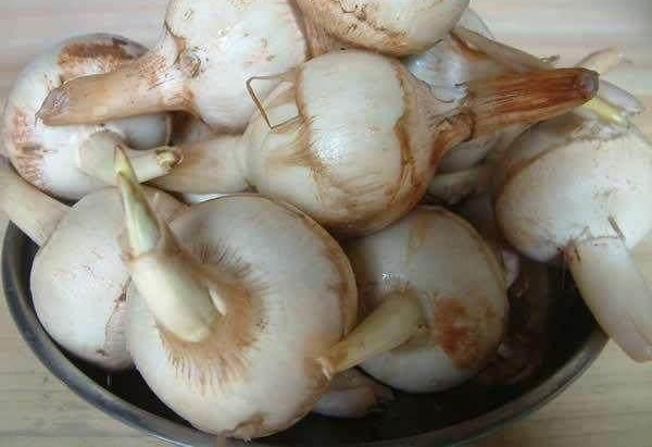 ����Ȼ�������棬��ô�����Ƶ�ֲ���ȫ����ʶ��