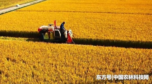 йʮģʽ֮ǽԼͣϺɽ