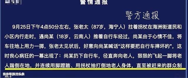 “这样会把自行车摔坏的”87岁奶奶善意提醒却遭18岁男子毒打