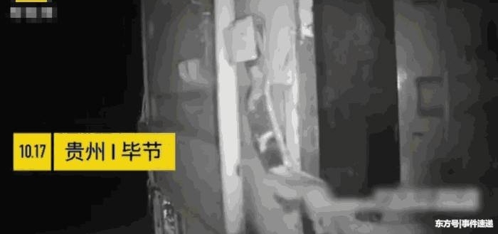 贵州一货车前座副驾“坐”了头牛, 网友: 给牛系安全带了吗?