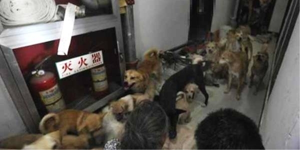 ������־Ը�߿������ˣ����ź��˲�䣬��������̱����
