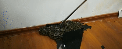 2�׳���15���صĴ��ߡ�������������·�����ĳ����