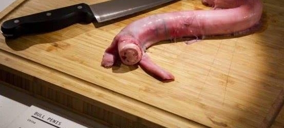 ȫ������ġ�ʳ�ﲩ��ݣ��й����Ե���ʳ����ѡ�����ѱ�ʾ����