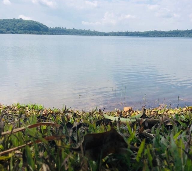 ǣʺϱϵĳУѵֵͣһȥ