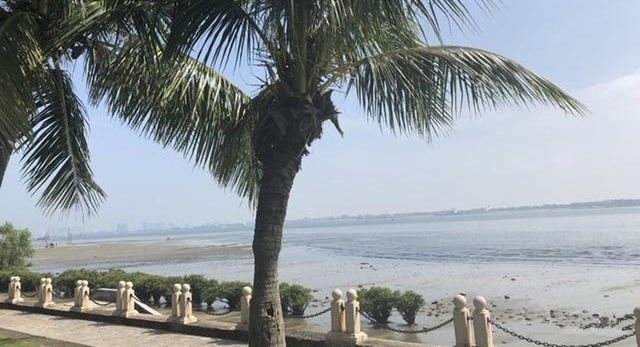 ǣʺϱϵĳУѵֵͣһȥ