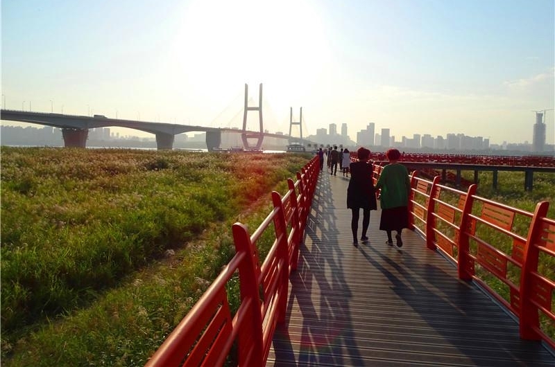 六年前的观芦小桥建议 今朝变成芦花栈桥 汉口江滩芦花栈桥建成