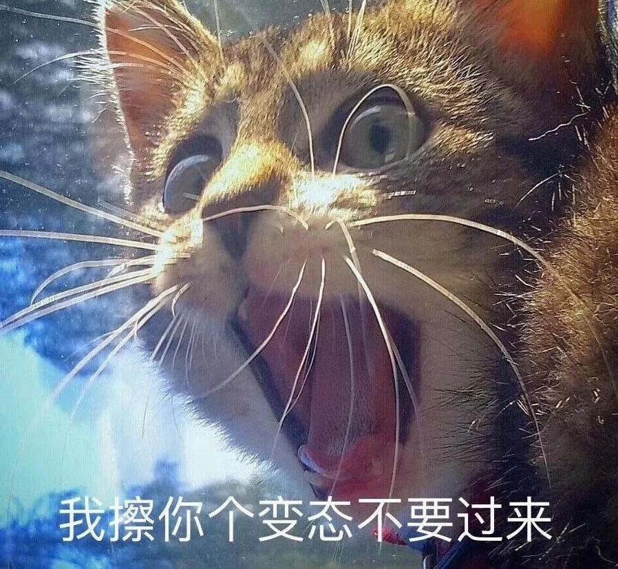 胖大妈乘飞机赤脚架到前排肩膀上,自称“芭蕾舞演员”脚受伤