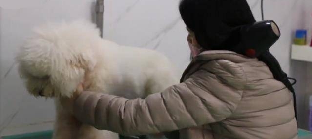 ڼϳﹷҲԹˣ30Ԫһ죬˹᲻