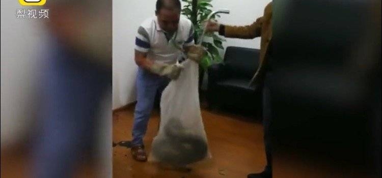 ���г��Ὺһ�룬2�״����ߴ���������ҵ�ŮԱ�����